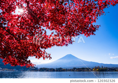 【山梨郡】河口湖畔和富士山的秋楓葉 120302326