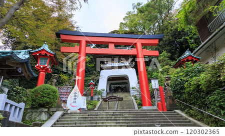 The impressive vermilion torii gates of Enoshima Shrine in Shonan's Enoshima Island The impressive vermilion torii gates of Enoshima Shrine in Shonan's Enoshima Island 120302365