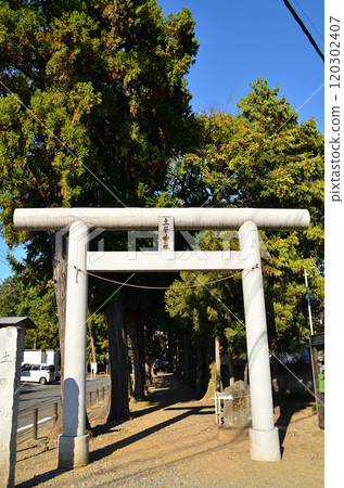 Tsuchiya Shrine, a power spot in Asabano, Sakado City, Saitama Prefecture 120302407