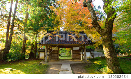 World Heritage Site Chusonji Temple: Autumn morning sunlight streaming in: Daichojuin Gate, Iwate Prefecture World Heritage Site Chusonji Temple: Autumn morning sunlight streaming in: Daichojuin Gate, Iwate Prefecture 120302484