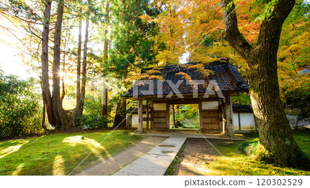 世界遺產中尊寺,陽光照耀的秋天早晨,岩手縣長十院門 世界遺產中尊寺,陽光照耀的秋天早晨,岩手縣長十院門 120302529