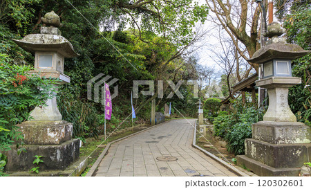The impressive vermilion torii gates of Enoshima Shrine in Shonan's Enoshima Island - Okutsumiya and Ryujin Shrine 120302601