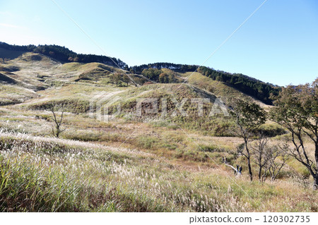 富峰高原的秋天(兵庫縣神崎郡上川町) 富峰高原的秋天(兵庫縣神崎郡上川町) 120302735