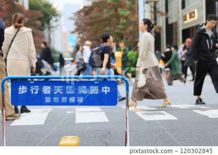 銀座街道上的步行天堂 120302845