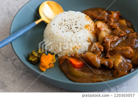 Curry rice stylish tableware 120303057