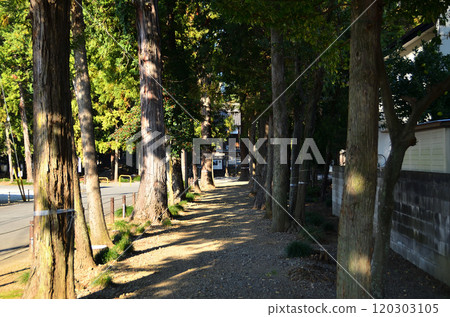 土屋神社是位於埼玉縣坂戶市淺羽野的發電廠 120303105