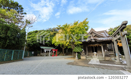 Autumn leaves at Koyurugi Shrine Autumn leaves at Koyurugi Shrine 120303277