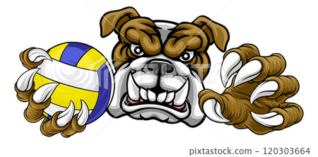 Bulldog Dog Volleyball Volley Ball Animal Mascot Bulldog Dog Volleyball Volley Ball Animal Mascot 120303664