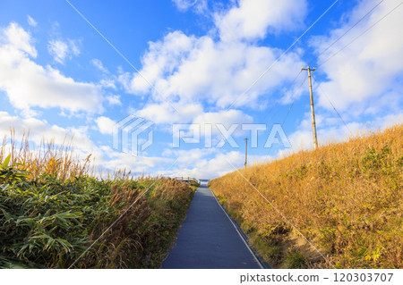 Late autumn scenery at Cape Kamui [Hokkaido] 120303707