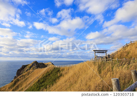 Late autumn scenery at Cape Kamui [Hokkaido] 120303718