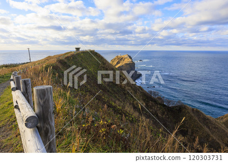 Late autumn scenery at Cape Kamui [Hokkaido] 120303731