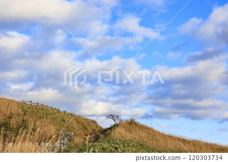 深秋場景@神威岬【北海道】 深秋場景@神威岬【北海道】 120303734
