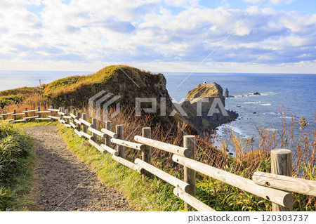 Late autumn scenery at Cape Kamui [Hokkaido] 120303737