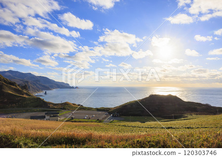 Late autumn scenery at Cape Kamui [Hokkaido] 120303746