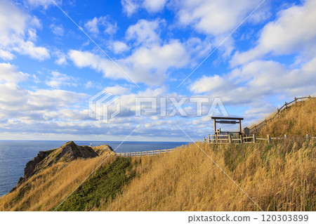 秋季神威岬的絕美風景【北海道】 秋季神威岬的絕美風景【北海道】 120303899