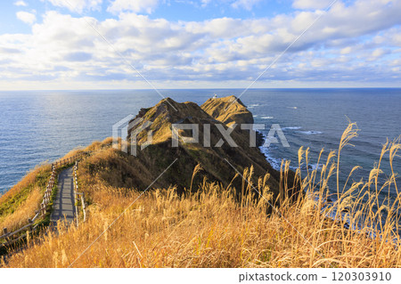 秋季神威岬的絕美風景【北海道】 120303910