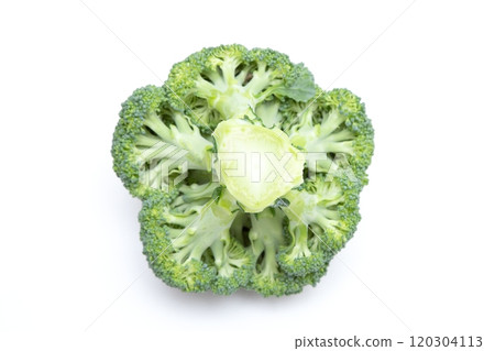 Broccoli stem cross section 120304113