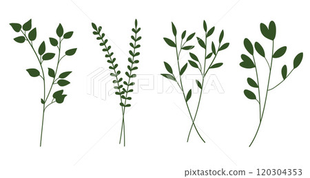 Green silhouette twigs with leaves botanical collection. 120304353