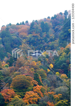 Misasa Ippei-do in autumn Misasa Ippei-do in autumn 120304490