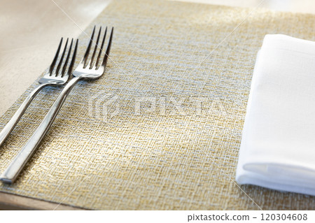 餐廳餐桌和餐具 餐廳餐桌和餐具 120304608