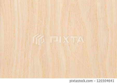 Cork, Sen, Wood 120304641