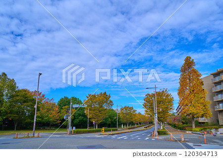 Looking northwest toward 3-chome from the Wakabadai Nishi intersection in Wakabadai 2-chome, Inagi City, Tokyo in autumn Looking northwest toward 3-chome from the Wakabadai Nishi intersection in Wakabadai 2-chome, Inagi City, Tokyo in autumn 120304713
