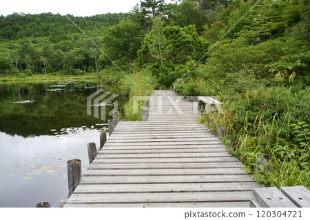 眺望志賀高原一沼的木甲板 120304721