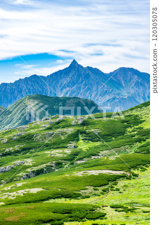 從北阿爾卑斯雙六山中道交界處看到的矢鹿岳和桃澤山 雙六山、三俁山蓮華登山 從北阿爾卑斯雙六山中道交界處看到的矢鹿岳和桃澤山 雙六山、三俁山蓮華登山 120305078