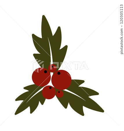Christmas holly berry. Christmas symbol. Twig of holly with berries and leaves. New year and winter, Christmas holidays and gifts. Christmas holly berry. Christmas symbol. Twig of holly with berries and leaves. New year and winter, Christmas holidays and gifts. 120305113