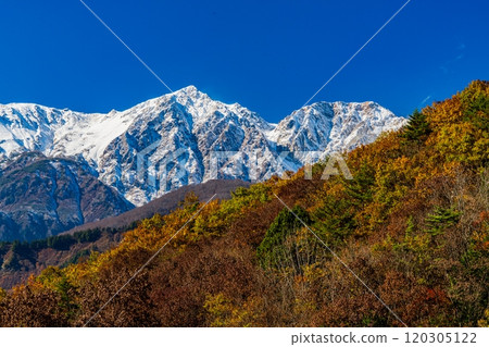 Snow-capped Northern Alps and autumn leaves 120305122