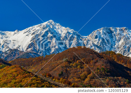 白雪皚皚的北阿爾卑斯山和秋葉 白雪皚皚的北阿爾卑斯山和秋葉 120305129