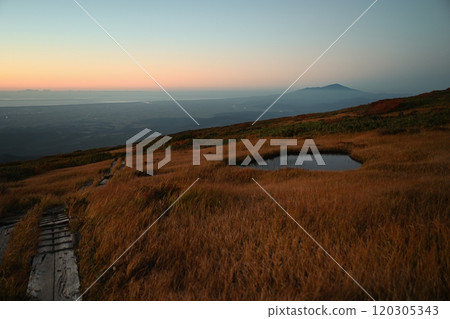 Autumn leaves shining in the setting sun 120305343