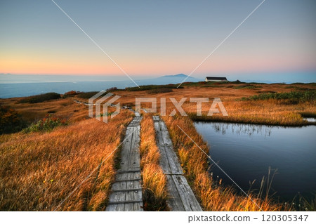 秋葉在夕陽的照耀下閃閃發光 秋葉在夕陽的照耀下閃閃發光 120305347