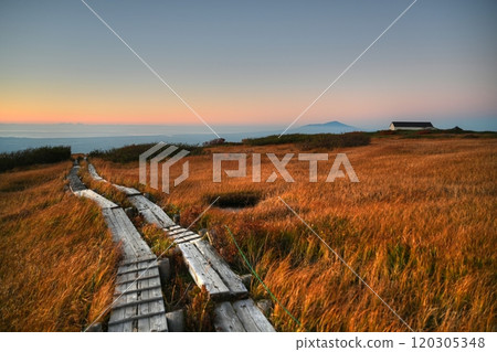 秋葉在夕陽的照耀下閃閃發光 120305348