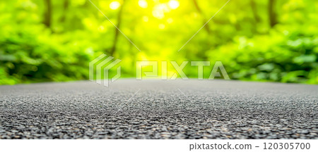 Serene Forest Road in Fresh Green Surroundings 120305700