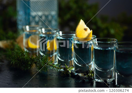 Gin with juniper berries and lemon slices. Gin with juniper berries and lemon slices. 120306274