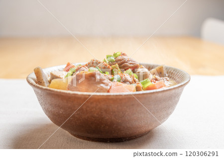 豆腐、胡蘿蔔、蘿蔔和蒟蒻燉內臟 豆腐、胡蘿蔔、蘿蔔和蒟蒻燉內臟 120306291
