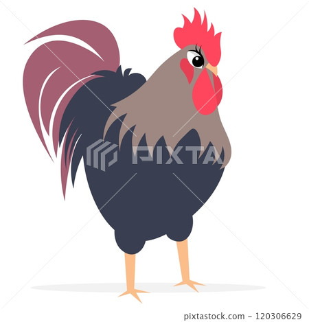 Farm Animals. Cute farm. A serious, plump rooster. Collection of farm animals. Baby flat vector illustration. 120306629
