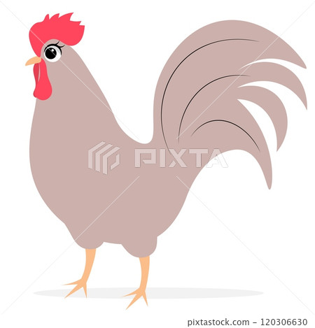 Farm Animals. Cute farm. A simple rooster on a white background. Collection of farm animals. Baby flat vector illustration. 120306630