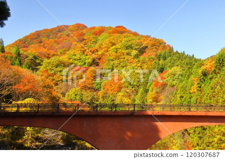 Burning Autumn Burning Autumn 120307687