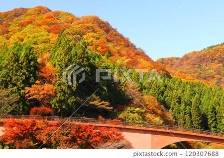 Burning Autumn Burning Autumn 120307688