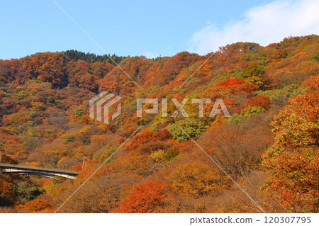 Burning Autumn Burning Autumn 120307795