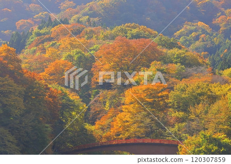 Burning Autumn 120307859