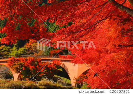 燃燒的秋天 燃燒的秋天 120307861