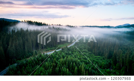 Aerial view of winding road snakes through dense, mist-covered forest in early morning light. Lush green trees with layers of mist creating dreamlike atmosphere as mountains rise in background. Aerial view of winding road snakes through dense, mist-covered forest in early morning light. Lush green trees with layers of mist creating dreamlike atmosphere as mountains rise in background. 120307988