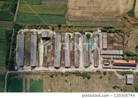 Bio farm, countryside cowshed, hangars, dairy cows, bio agricultural fields aerial Bio farm, countryside cowshed, hangars, dairy cows, bio agricultural fields aerial 120308749