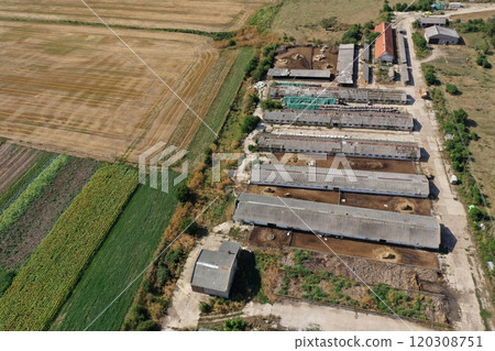Bio farm, countryside cowshed, hangars, dairy cows, bio agricultural fields aerial Bio farm, countryside cowshed, hangars, dairy cows, bio agricultural fields aerial 120308751