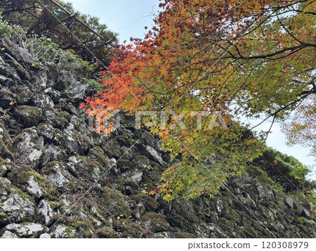 秋葉的吉峰寺 120308979