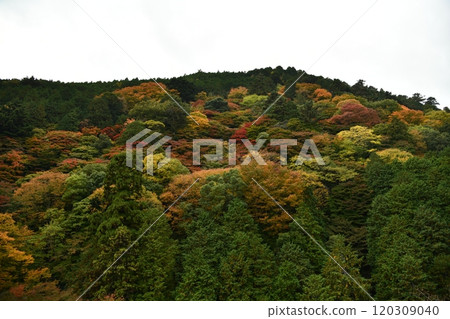 秋葉的吉峰寺 秋葉的吉峰寺 120309040