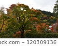 Autumn leaves at Yoshimineji Temple 120309136